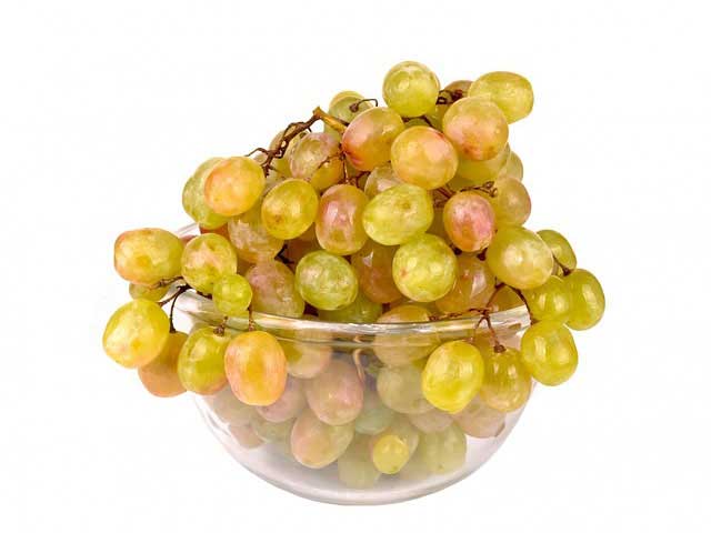 无限循环呼叫电话软件